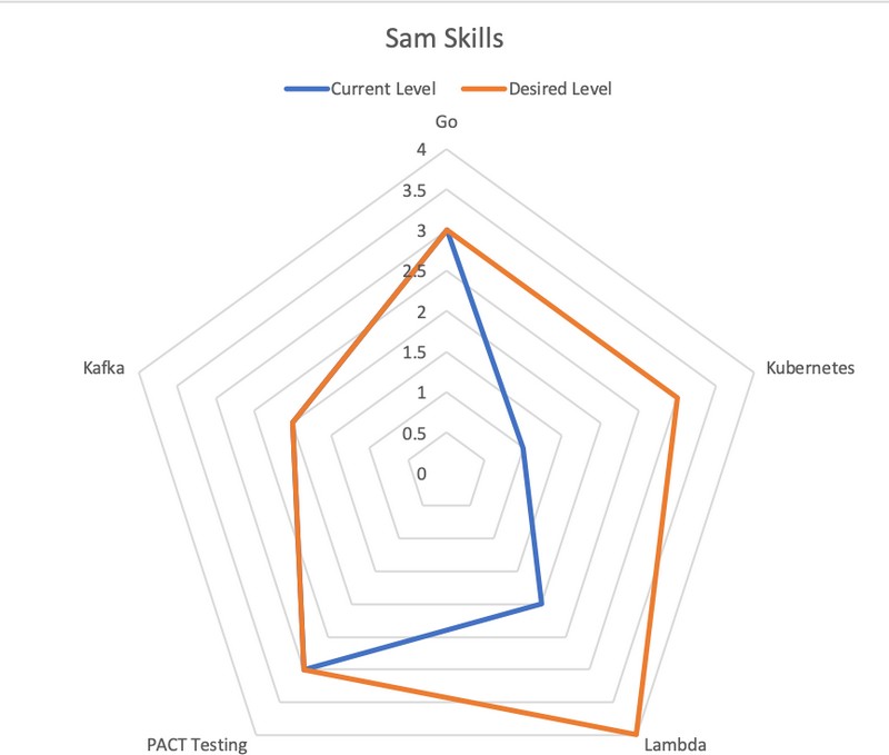 skills chart, showing those areas that I want to improve
