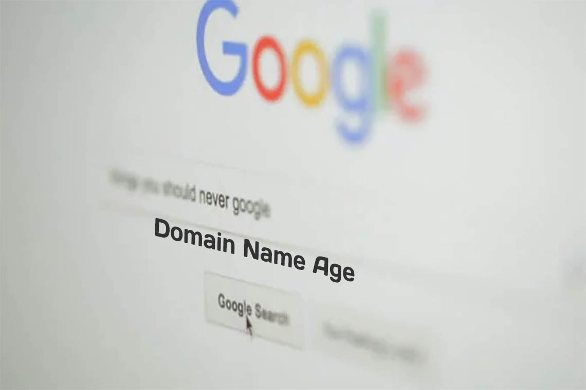 Фильтр Google Domain Name Age (возраст доменного имени)