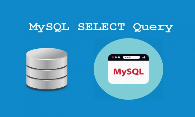 Оператор SELECT в MySQL 8: полный обзор с примерами кода