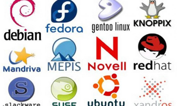 Топ-10 лучших серверных дистрибутивов Linux в 2022 году