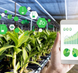 CIoT: Internet of Green Things for Enhancement of Crop Data Using Analytics and Machine Learning