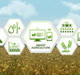 Green IoT Towards Environmentally Friendly, Sustainable and Revolutionized Farming