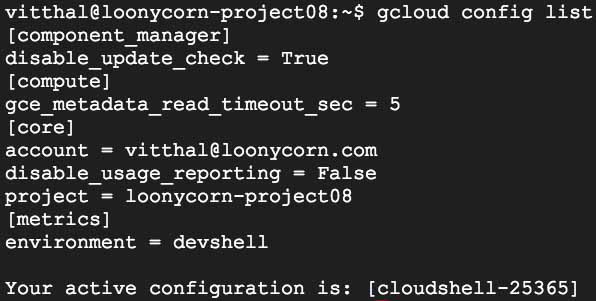 gcloud config list command