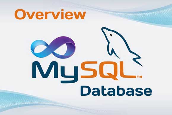 MySQL Database and Server Overview 