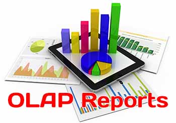 OLAP Reports Types