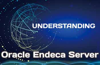 Oracle Endeca Server Understanding
