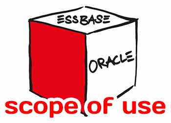 Oracle Essbase Examples