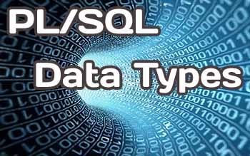 PL/SQL Data Types