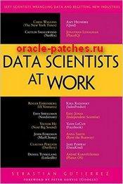Книга Data Scientists at Work 