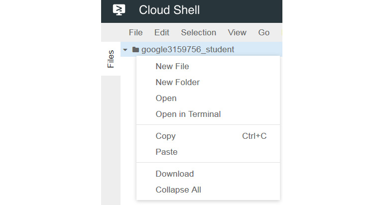 Figure 16.13 – Cloud Shell – New File 