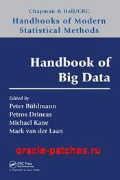 Книга Handbook of Big Data 