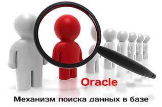 Как работает поиск данных в базе Oracle и как их использовать программисту