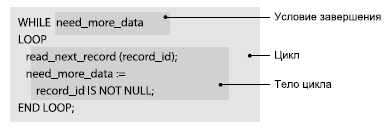 Цикл WHILE языка PL/SQL