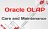 Oracle OLAP Care and Maintenan...